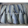 Canned Mackerel Fillet Chinese Export Frozen Fish Mackerel Mackerel Frozen Fillets Factory